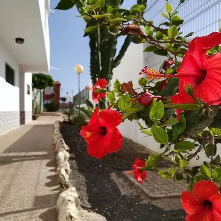 Апартаменты Casa Azul *