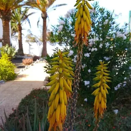 Casa Azul Апартаменты *