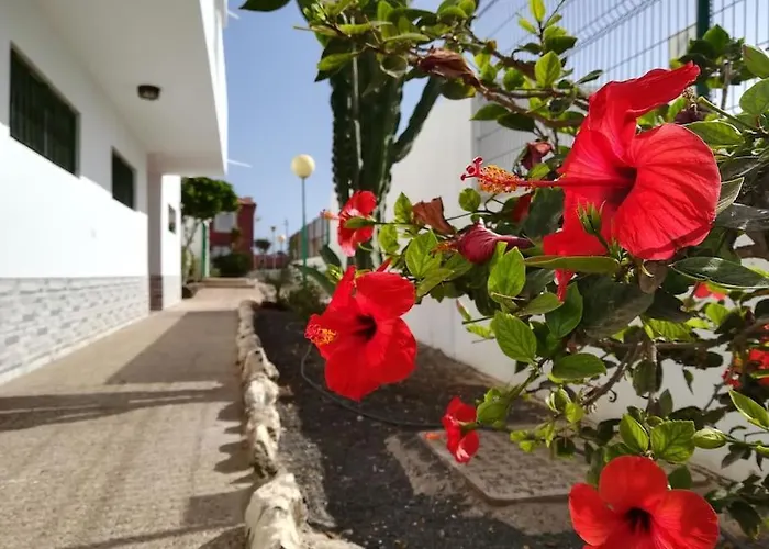 Apartamento Casa Azul *